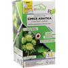 Generico Kit Trappola Cimice Asiatica a Feromoni + Ricarica Attrattiva - Disinfestazione Orto e Giardino Senza Insetticidi - Design Piramidale Antifuga Made in Italy