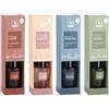 AD TREND 1 Pezzo Diffusore Profumo con Bastoncini 100 ml 4 Fragranze