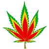 TENNER.LONDON Set di 5 toppe di cannabis colore Rasta fai da te con ferro da stiro e foglie di marijuana