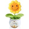 FCZIVA Maestra Regalii Apprezzamento per Maestro Rosa all Uncinetto Vaso Festa degli Insegnanti Regalo Donne Uomini Natale Compleanno Girasole Cuore Ricordo Professoressa Grazie Laurea Addobbi (Non)