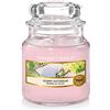 Yankee Candle Candela Profumata in Giara Piccola, Picnic Sotto Al Sole, Durata Fino A 30 Ore, Collezione Garden Hideaway