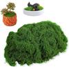 HASLED Muschio Finto per Decorazioni 300g, Muschio Stabilizzato Realistico, Verde Scuro Sintetico Muschi Finto, Decorazione Piante Artificiali, per Vasi, Micro Paesaggi, Decorazione