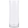PEPAXON Vaso in vetro per fiori, vaso trasparente, cilindro alto, vaso per fiori trasparente, vaso trasparente per decorazione da tavolo (10x30cm)