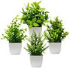 Dilireba 4 Pezzo Piante Decorative Artificiali, Piante Artificiali In Vaso, Piccole Piante Artificiali Decorative, Piante Decorative, Ideali Per Decorare Librerie, Balconi, Uffici e Bagni (Bianche)