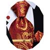YourTies Cravatta da uomo in seta con gemelli quadrati e fermacravatta | Set di cravatte da uomo con motivo cachemire, fazzoletto in tessuto jacquard, per feste formali, matrimoni, balli scolastici