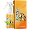 Generico Pulitore Rinnovatore per Ottone Spray Lucidante Universale Delicato | Spray Rimuovi Ruggine per Metalli Per Serrature Cerniere Lampade Decorazioni Ripiani Casa Ufficio Dormitorio