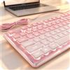 SEUNKWANG Tastiera cablata con tasti bianchi retroilluminati, sfumatura rosa-rosa | Tastiera per computer di dimensioni standard, silenziosa, facile da leggere, non sbiadisce, pannello in metallo