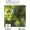 Arthaus Musik Im Wald - 8 Studien über animierte Stillleben und Musik (DVD)