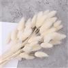 Hileyu 50 pezzi 45cm Lagurus Bunny Codes Pampas Grass Decor Decor Bianco Rosa Rabbit Artificial Tails Secchi fiori bouquet per la casa Decor Boho Decor Room Della Camera da letto Decor (50Pcs White)