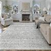 PureCozy Tappeto Salotto Grigio 300x400cm Antiscivolo | Lavabile, Vintage, Tappeti, Sala, Soggiorno, Cameretta, Camera da Letto, Ufficio, Grande, Carpet, Pelo Corto, Morbido