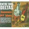 Flamenco in a Blues Style Entre Dos Deltas (CD)