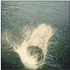 Mountain Man Made The Harbor (CD)