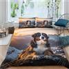 ZHUICHENG Cane da montagna bernese svizzero Microfibra Copripiumino Lenzuola Letto Motivo Per Bambini Adulto Set Biancheria,Matrimoniale Con 3 Pezzi Copripiumino,Anti-acaro Facile Da Curare doppio（200x200cm）