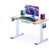 FLEXISPOT Scrivania Elettrica Regolabile in Altezza, 110 x 54 cm, Scrivania Gaming, con Vassoio Completo, Sistema Anticollisione e Memoria a 4 Altezze