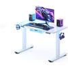 FLEXISPOT Scrivania Elettrica Regolabile in Altezza, 110 x 54 cm, Scrivania Gaming, con Vassoio Completo, Sistema Anticollisione e Memoria a 4 Altezze