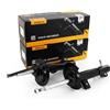 GH Coppia Ammortizzatori a Gas Anteriori D+S per Mini Cooper,One R50,R52,R53 2002-