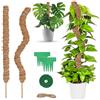 talifoca 2 Pezzi Bastone di Muschio, 64 cm Palo Cocco Piante Sostegno Piante Supporti per Piante Pieghevoli Fibra di Cocco per Piante, Tutore Muschiato per Monstera per Piante rampicanti