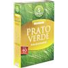 Baroni Home Semi Prato Resistenti per Terreno Soleggiato e Buona resistenza, Sementi da Giardino ad alta Germinabilità, Semi per Insediamento Facile, Resistente al Calpestio, Manutenzione Economica, 40 Mq