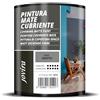 JOVIRA PINTURAS Pittura di copertura opaco. Pittura per interni ed esterni con eccellente potere coprente. (750 Millilitri, Grigio Grafite)