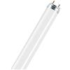 Osram Natura T8 G13 L 36 W/76 Lampada fluorescente, 120 x 3 x 3 cm