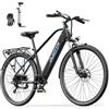 DUOTTS C29 Lite Bici Elettrica con Motore 250W, E-Bike Elettrica，25km/h