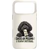 Socks Go Missing I Know Nothing Dog Humo Custodia per iPhone 17 Pro Max Divertente calzino ladro cane nero scarabocchio proprietario umorismo
