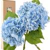 FiveSeasonStuff Real Touch, ortensie in seta, 2 fiori artificiali a stelo lungo per composizioni floreali (celeste)