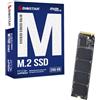 Biostar SSD Biostar M760 256GB