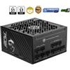 MSI MPG A1250GS PCIE5 alimentatore per computer 1250 W 20+4 pin ATX ATX Nero