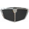 Aftermarket GRIGLIA O MASCHERA ANTERIORE LANCIA YPSILON 2006-2011 CROMATA-GRIGIA