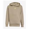 Adidas Felpa con cappuccio adidas Slogan Fleece beige bambino - 128