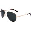 Polaroid occhiali da sole unisex PLD 6012/N/NEW gold-coloured dark gre