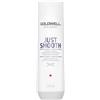Goldwell 250ml Goldwell Dualsenses Just Smooth Taming Shampoo