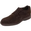 Hogan - H576 Derby Liscio - - Shoes - Uomo - Marrone