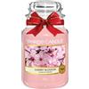 SAFAVIEH Yankee Candle Candela profumata in giara grande | Fiore di ciliegio | Durata Fino a 150 Ore | Regali perfetti per la festa della mamma per le donne