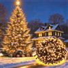 Ulinek Luci Natale Esterno, 2000LED 50M Stringa Luci Natalizie Bianco Caldo | Catena Luminosa Decorative IP44 Impermeabile 8 Modalità per Albero Natale Giardino Interno Letto Festa Casa