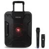 Altoparlante portatile Bluetooth per karaoke con trolley, batteria e microfono w