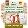 GREEN GUARDIA Trappola per finestre Brococcinella con attrattiva speciale - 27 trappole - Rispettoso dell'ambiente - Senza prodotti chimici - Con superficie adesiva forte, non tossica e inodore