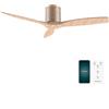 Cecotec - Ventilatori da Soffitto EnergySilence Aero 5500 Aqua GoldLightWood Connected. 40 W, Diametro 132 cm, Wi-Fi, Protezione IP44, Timer 8 Ore, 3 Pale, 6 Velocità, Estate/Inverno