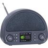 ROCAM Radio Vintage Portatile DAB+/DAB/FM con Bluetooth & 3000mAh Batteria | Lunga Durata Della Batteria, Segnale Ultra Potente, Altoparlanti Stereo, Sveglia, 80 Stazioni Preimpostate, 12 Lingue, Grigio