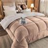 HLTQL Piumone Matrimoniale Invernale,Trapunta in Pile Double-Face Spessa E Calda,Coperta Addensare Fluffy Inverno Piumino Spesso Morbida E Calda(02,Pillowcase)