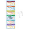 Boczif Organizer Appendiabiti per Bambini con 12 Scomparti (Blu) | Piano Settimanale con Etichette da Lunedì a Venerdì, Appendibile a Porta o Parete, Ideale per Casa, Camera da Letto