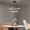 Mikeru 20+40cm 2 Anello Nero Luce Pendente, Doppia Plafoniera Rotonda Luce da Pranzo Moderna Del Pendente 3000k/4500k/6000k 10% al 100% Dimmerabile 1,5M Lunghezza Cavo Regolabile per Soggiorno