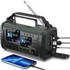 Lustrens Radio DAB+/FM da 27000 mAh con funzione di power bank e possibilità di ricarica solare e manuale