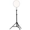 NEEWER BASICS Ring Light 10 con Treppiede 63/Porta Telefono, R10L Bianco | Compatibile con iPhone, Luce LED a Schermo Intero Bicolore 15W CRI95+ per Riprese Video Selfie Streaming Trucco, Telecomando