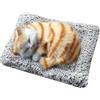 AKTOUR Cucciolata Cani per Dormire Gatto nel Materasso Giocattolo Mini Gatto Scarpa con miagolii Suoni Dormire Simpatico Gattino Giocattoli Decori per Bambini Ragazzi Ragazze Pupazzi Piccoli (A, One