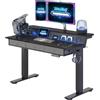 FLEXISPOT Scrivania Regolabile in Altezza con 3 Cassetti, 120 x 60 cm, con Pannello Forato Regolabile, Passacavi Integrato, Barra LED con Illuminazione Multicolore e 4 Memorie di Altezza, Nero