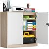 buybyroom Armadio Archivio, Armadio Bloccabile Mobile Ufficio, Armadio Ripiani Regolabili In Altezza per Ufficio, Home Office, Soggiorno, Cucina, Con Serratura e 2 Chiavi, 87×37×87 Cm