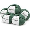 Kalapanta Lana Gatto VIP Gomitoli Cashmere e Lana Merino per Maglia e Uncinetto, 80% Merino Extrafine 20% Cashmere, 5 Gomitoli da 50 g (250 g, 1000 m), Ferri n. 3-3,5, Irrestringibile, Verde, Made in Italy