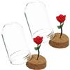 TOPBATHY 2 Pz Mini Stivali Finti Mini Mobili Fate in Miniatura Da Giardino Casa Delle Bambole Accessori in Miniatura Arredamento Da Giardino Piccoli Fiori in Vaso Cupola Case Resina Rosso